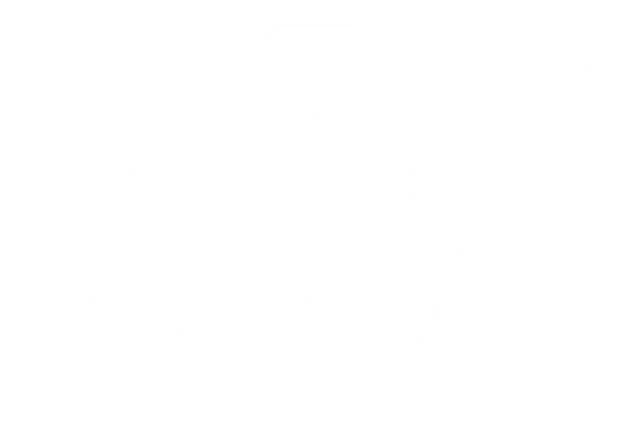 XV
